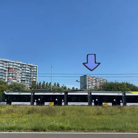 Apartment Joy At Sea