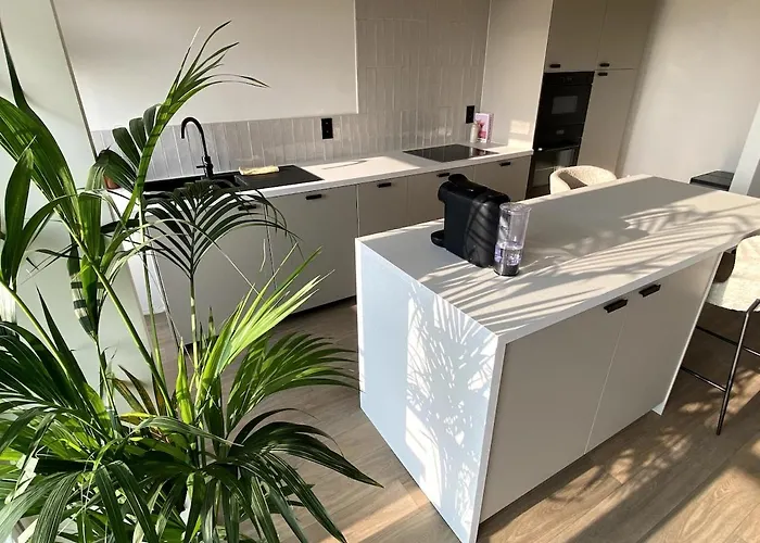 Joy At Sea Bredene-aan-Zee