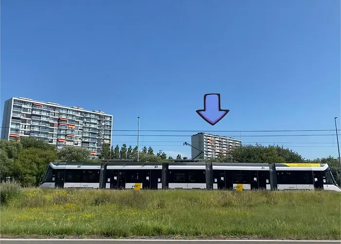 Apartment Joy At Sea